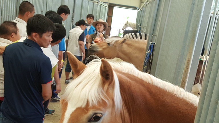 2016�� 5�� 31�� ����� ���丵 ķ�� �渶���� (4)