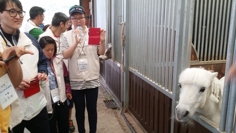 2016�� 5�� 31�� ����� ���丵 ķ�� �渶���� (4)