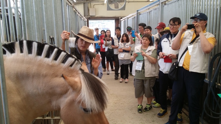 2016�� 5�� 31�� ����� ���丵 ķ�� �渶���� (4)