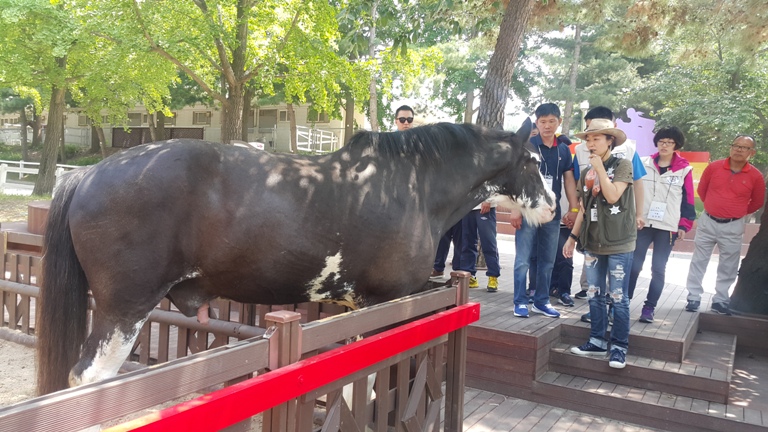 2016�� 5�� 31�� ����� ���丵 ķ�� �渶���� (4)