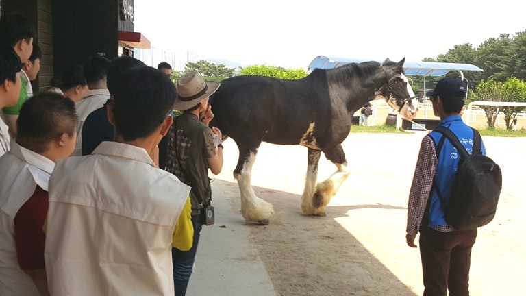 2016�� 5�� 31�� ����� ���丵 ķ�� �渶���� (4)