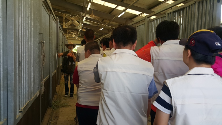 2016�� 5�� 31�� ����� ���丵 ķ�� �渶���� (4)